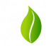 Maji Popote Logo_Icon Water Outline Maji Popote Logo_Icon Water Outline